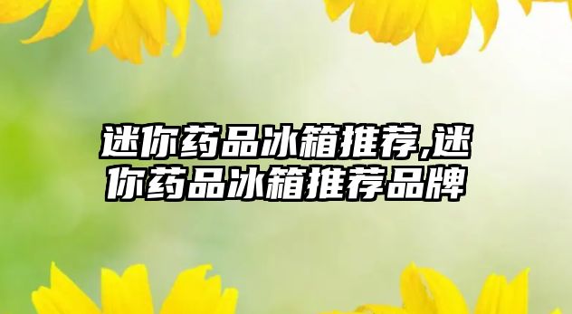 迷你藥品冰箱推薦,迷你藥品冰箱推薦品牌