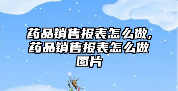 藥品銷售報表怎么做,藥品銷售報表怎么做圖片