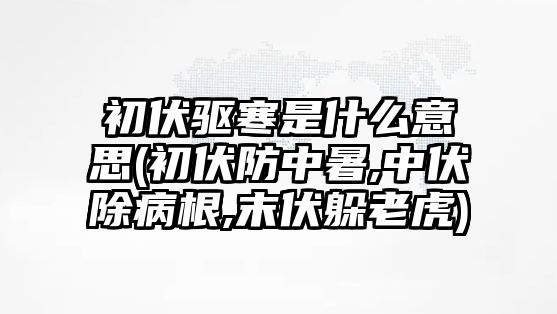 初伏驅(qū)寒是什么意思(初伏防中暑,中伏除病根,末伏躲老虎)