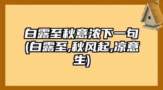 白露至秋意濃下一句(白露至,秋風起,涼意生)