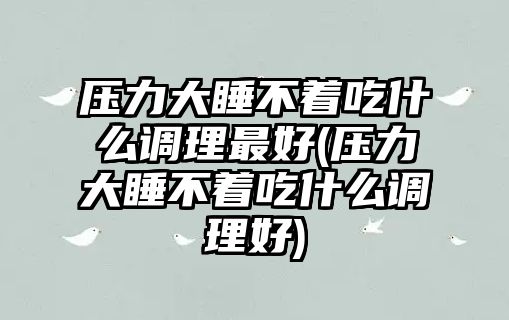 壓力大睡不著吃什么調(diào)理最好(壓力大睡不著吃什么調(diào)理好)