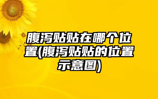 腹瀉貼貼在哪個(gè)位置(腹瀉貼貼的位置示意圖)