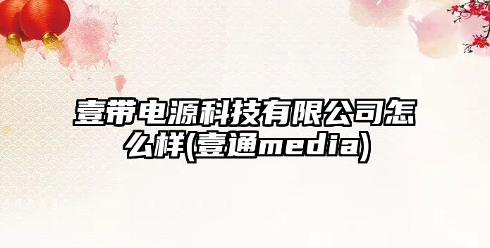 壹帶電源科技有限公司怎么樣(壹通media)