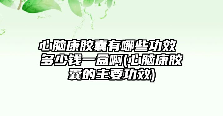 心腦康膠囊有哪些功效 多少錢一盒啊(心腦康膠囊的主要功效)