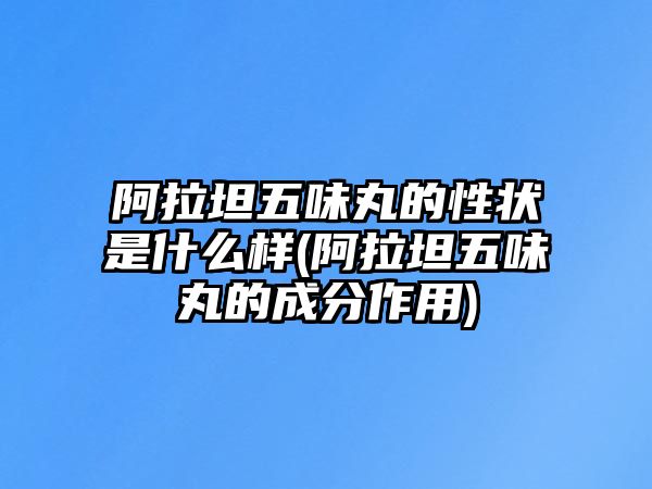 阿拉坦五味丸的性狀是什么樣(阿拉坦五味丸的成分作用)