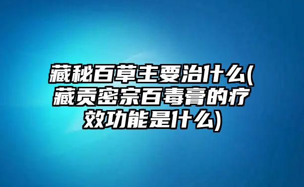 藏秘百草主要治什么(藏貢密宗百毒膏的療效功能是什么)