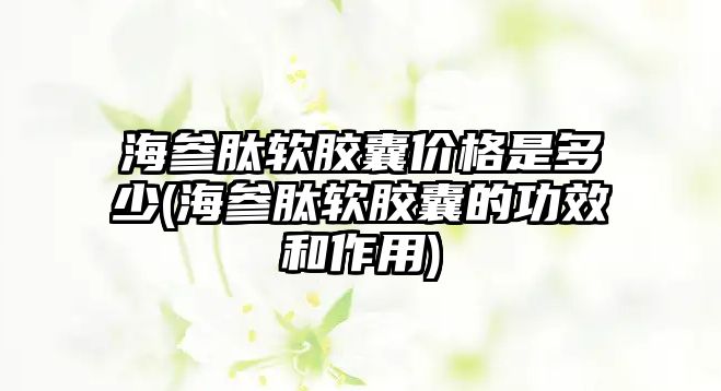 海參肽軟膠囊價格是多少(海參肽軟膠囊的功效和作用)