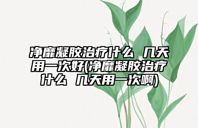 凈靡凝膠治療什么 幾天用一次好(凈靡凝膠治療什么 幾天用一次啊)