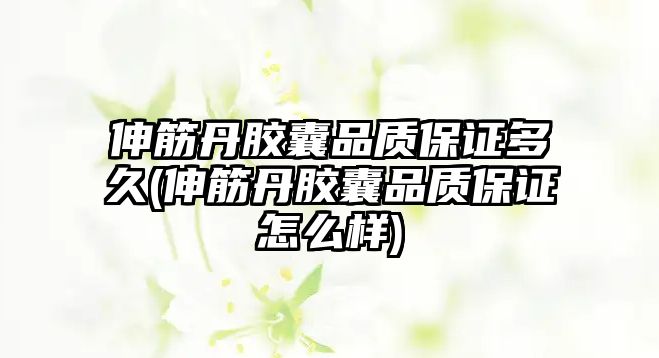 伸筋丹膠囊品質保證多久(伸筋丹膠囊品質保證怎么樣)