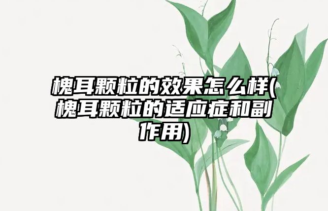 槐耳顆粒的效果怎么樣(槐耳顆粒的適應(yīng)癥和副作用)