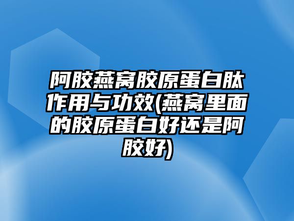 阿膠燕窩膠原蛋白肽作用與功效(燕窩里面的膠原蛋白好還是阿膠好)