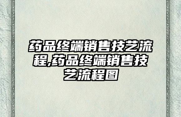 藥品終端銷售技藝流程,藥品終端銷售技藝流程圖