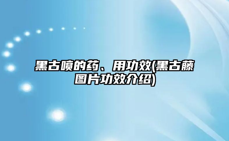 黑古噴的藥、用功效(黑古藤圖片功效介紹)